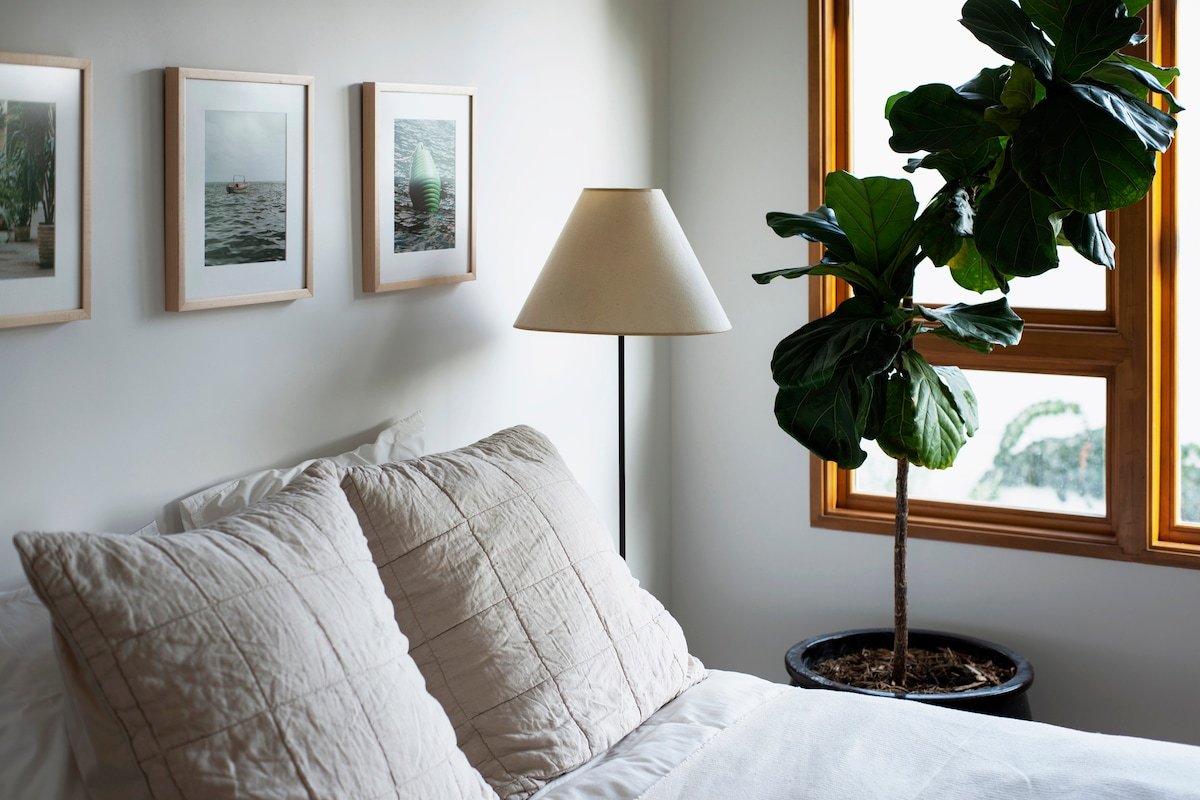 San Juan- Featured in Architectural Digest + Sauna gallery image 4