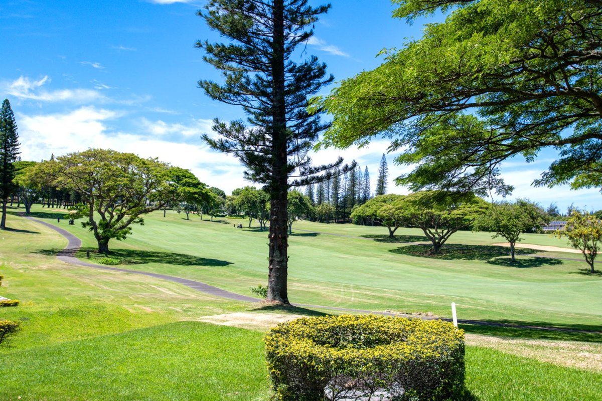Kapalua Golf 14P3 | FREE CAR | KBM Resorts