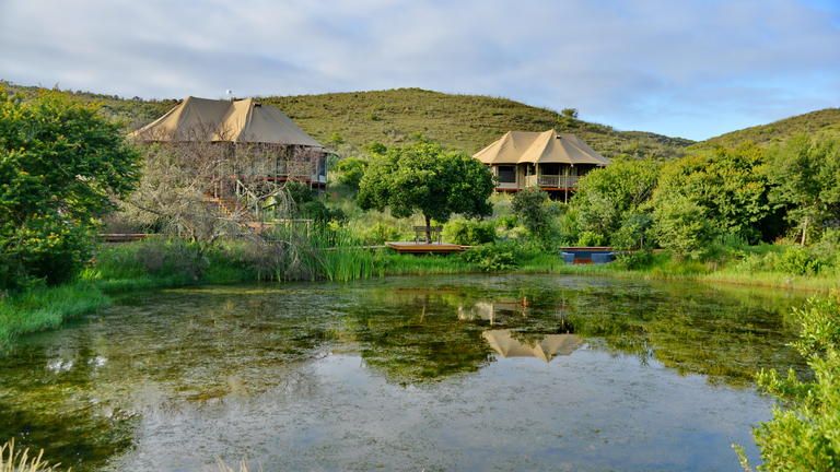 Garden Route Safari Camp Hide Away Tented Lodge