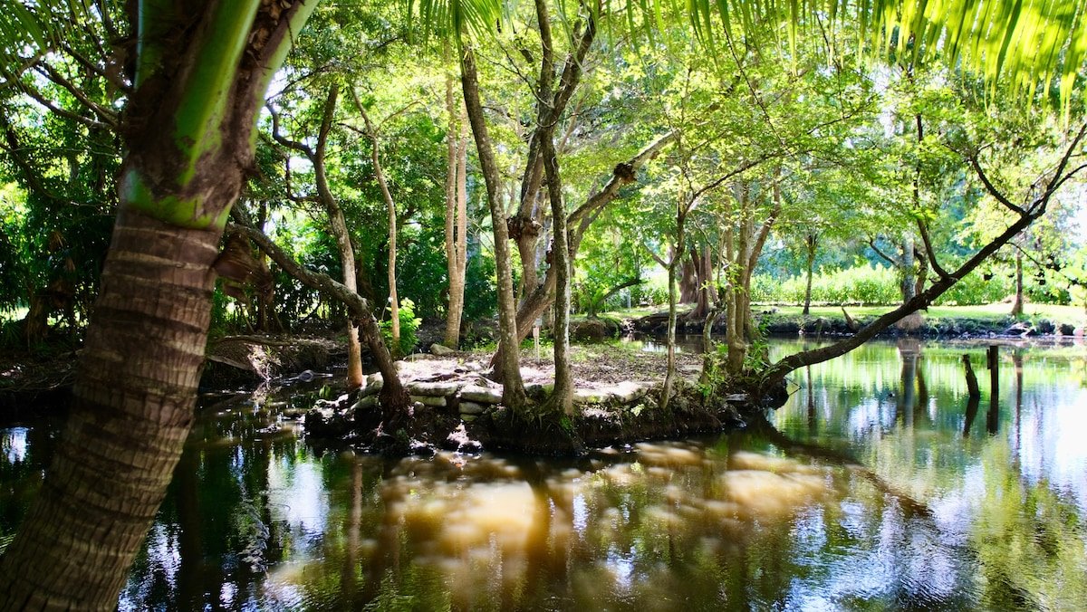 Ranch life in the City- Heated Pool-Pond-1 acre gallery image 5