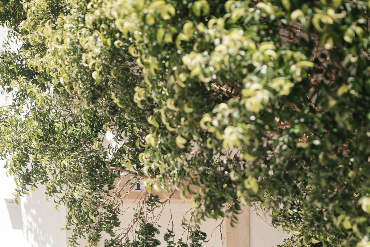 Charming family house in the heart of Cascais gallery image 3