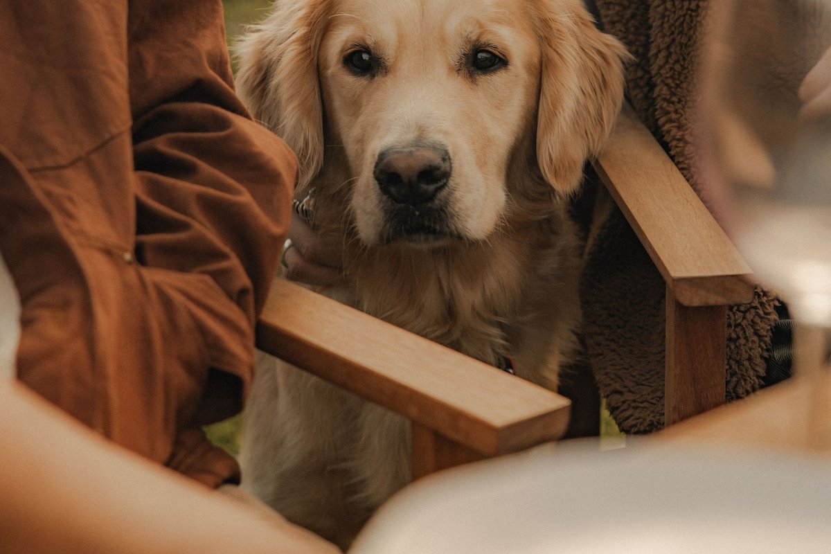 The Farmhouse – Southwest Luxury Farmstay gallery image 5