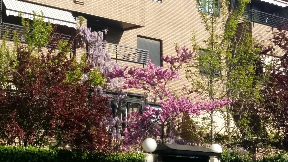 Amplio Duplex con jardín y piscina junto a IFEMA. gallery image 2