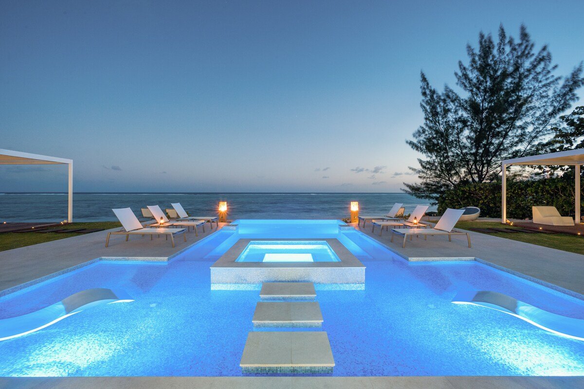 Black Urchin gallery image 5