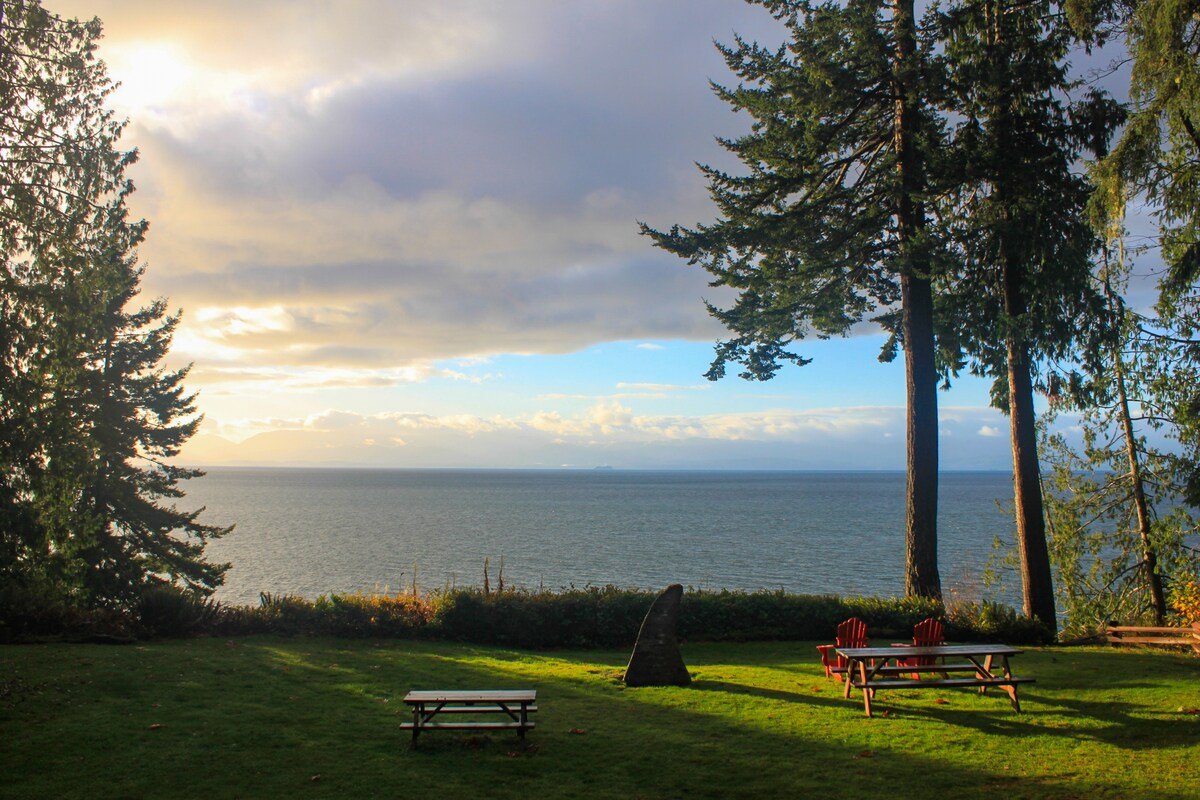 Sugar Bear Cove–10 acres of beachfront property gallery image 5