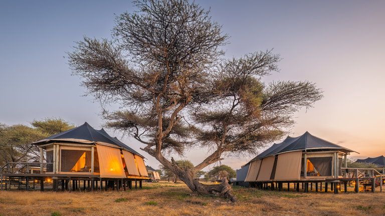 Lake Masek Tented Lodge Twin / Double Tent