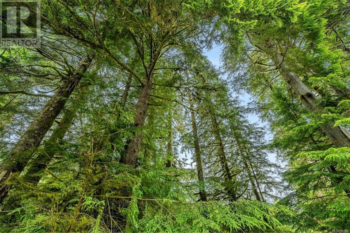 Forest Cove two bedroom 3 beds guest suite gallery image 2