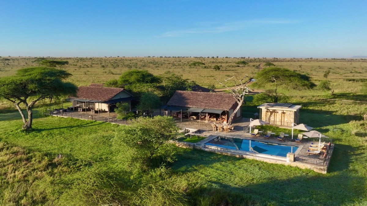 3-Day Luxury Honeymoon Safari in Tanzania’s Serengeti and Ngorongoro Crater