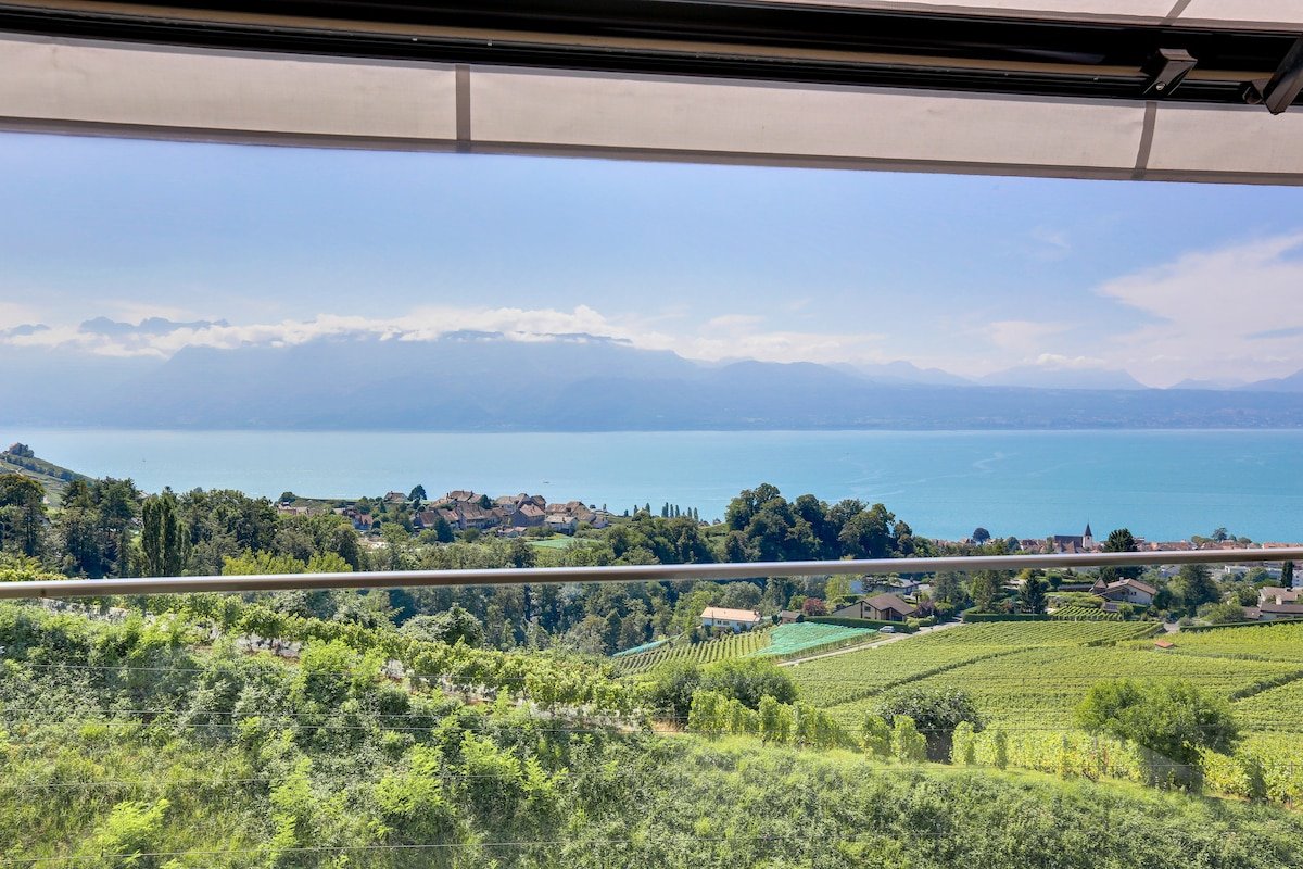 Villa de standing Le Haut des Vignes Lutry/Lavaux gallery image 5
