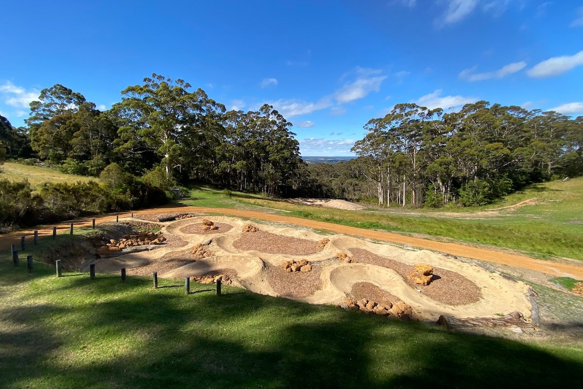 Mountain top forest, bike track, stunning vista gallery image 3