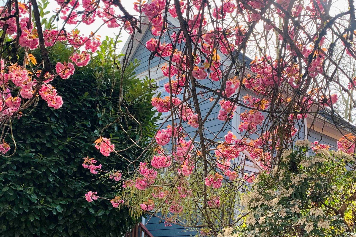 Beautiful Kitsilano 3 Bedroom 3Bath Home Vancouver gallery image 3