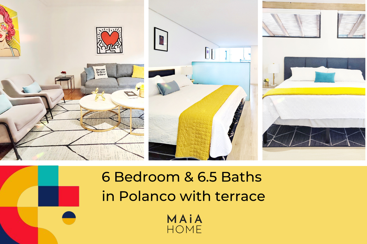 House @ Polanco’s Heart: 6 BR & 6.5 Baths