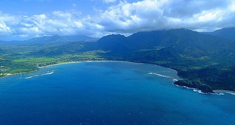 Charming and Immaculate – Close to Beach/Town gallery image 3