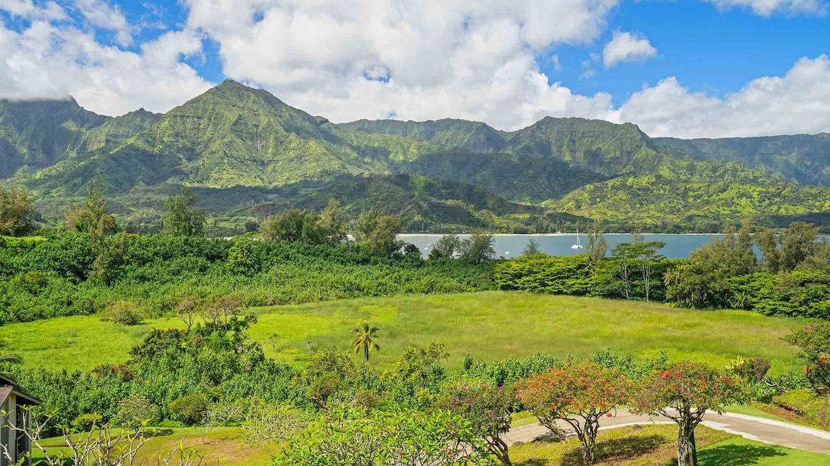 Hanalei Bay 9221 & 9222 By Parrish Kauai gallery image 4