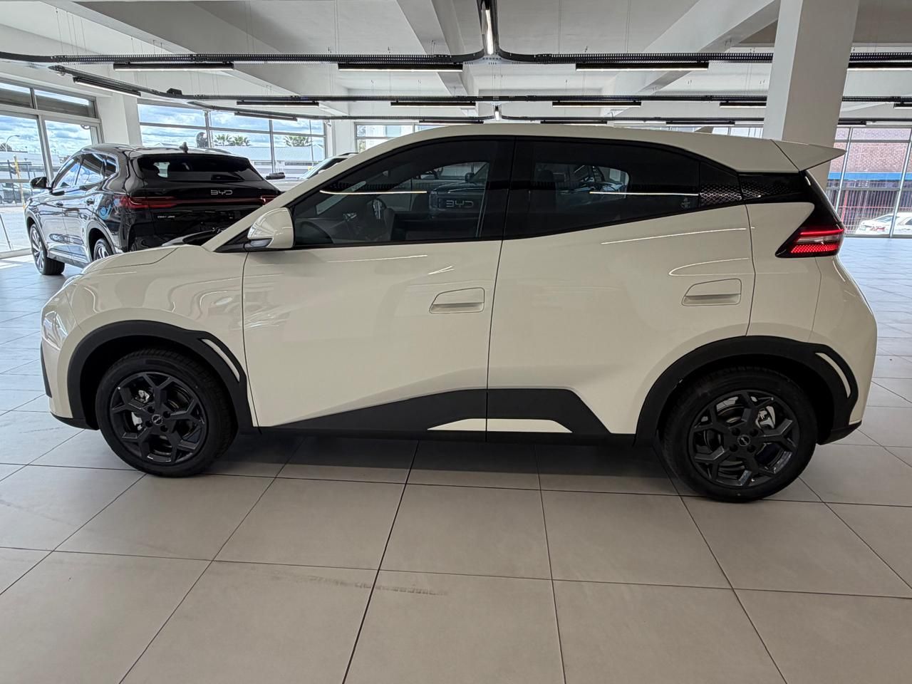 Used car gallery