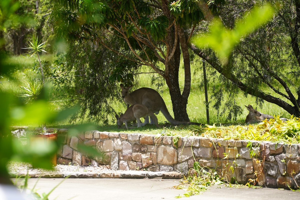 Serenity, Sprawling Home Surrounded By Acreage gallery image 5
