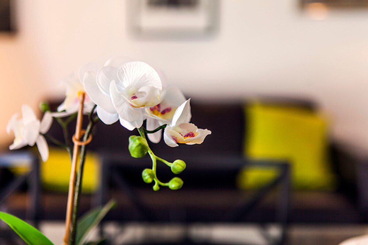 Boho-chic Alfama apartment with a river view gallery image 4