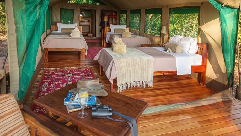 Macatoo Camp - African Horseback Safaris Triple Tent