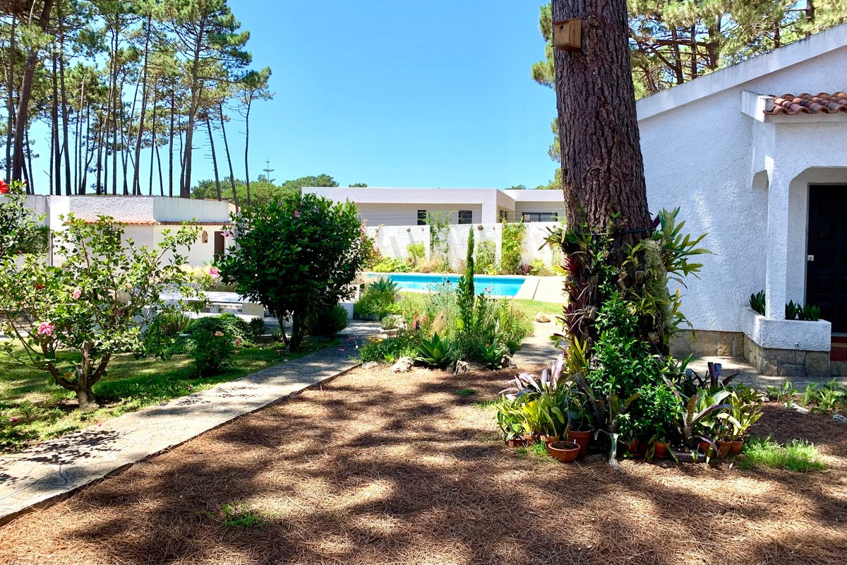 Oak Valley Flats Casa do Pinhal 5BR 4km to beach