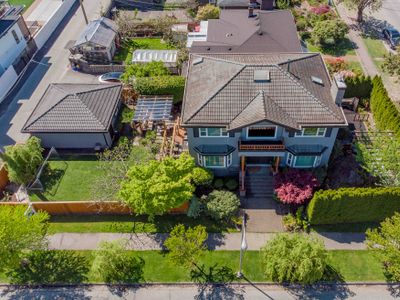 Corkscrew Willow Estate