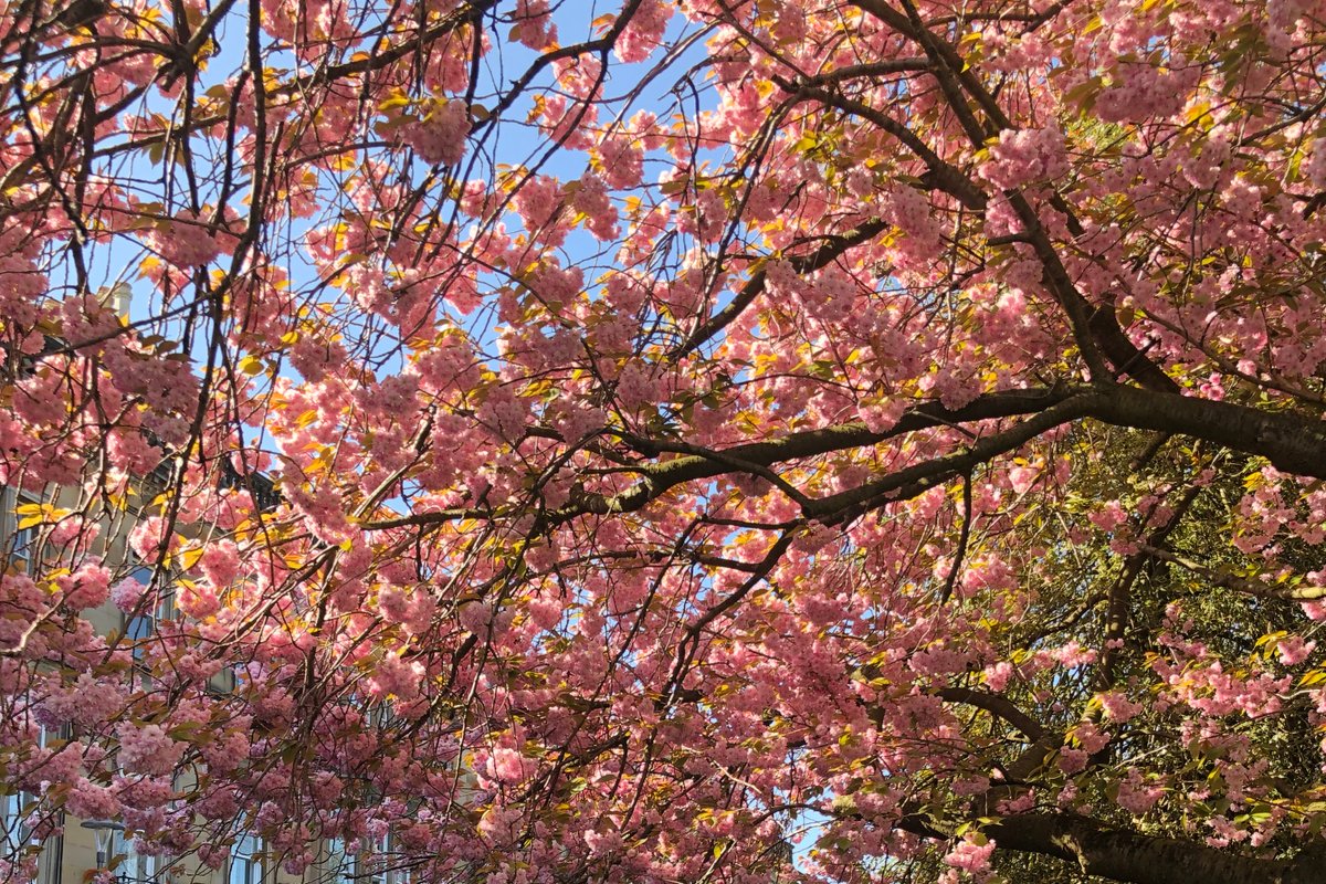 Penthouse apartment in the heart of the city