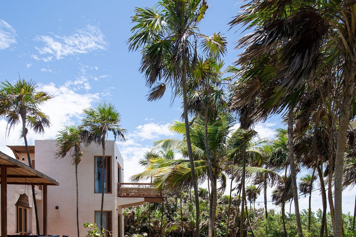 Kati Kaan gallery image 4