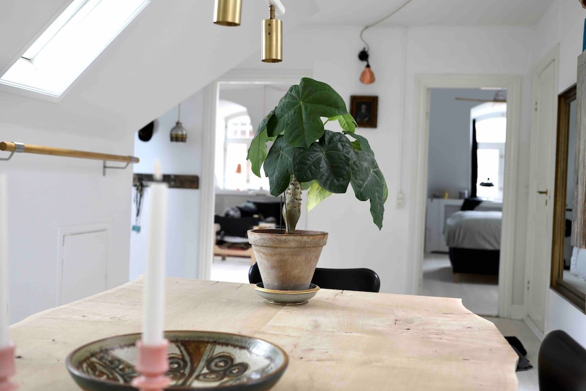 Lux penthouse 140 m2, in the heart of Copenhagen gallery image 5