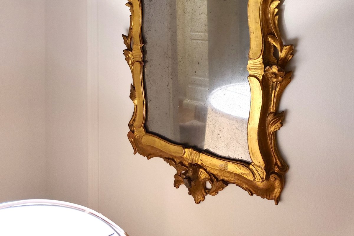 Oliver Twist in Venice gallery image 3