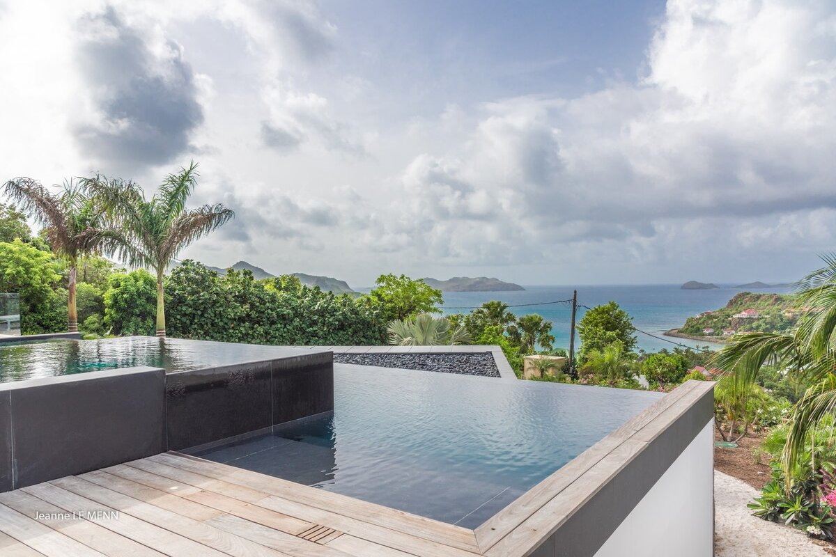 Golden Palm gallery image 4