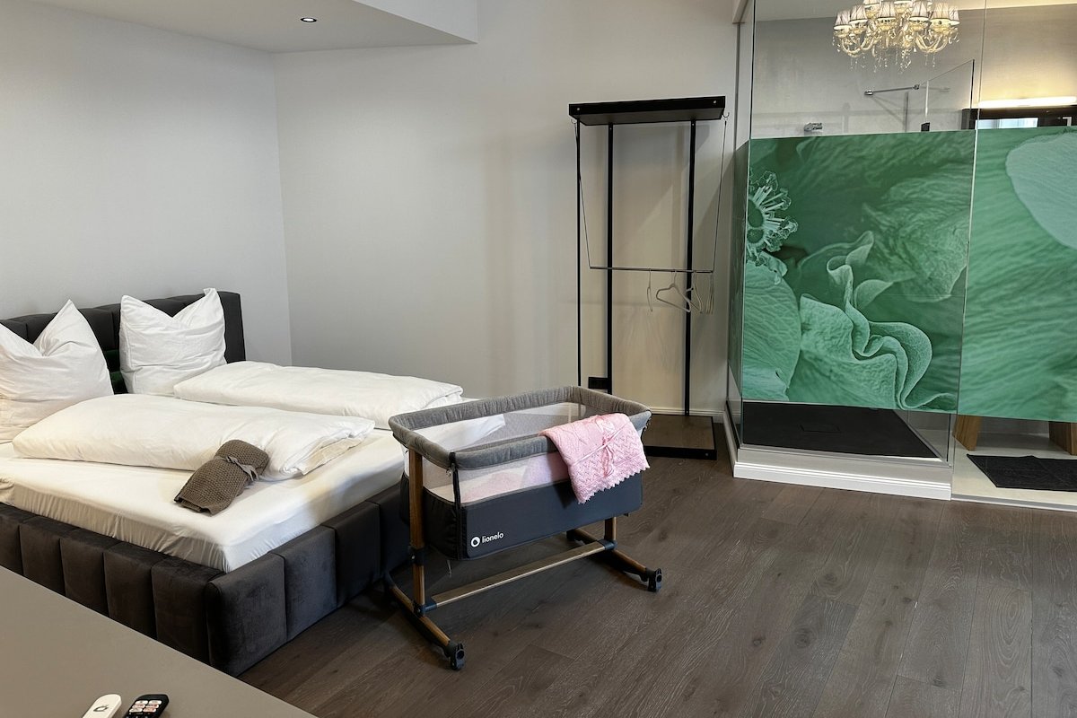 Sigmund FREUD – City Apartment Downtown Vienna gallery image 2