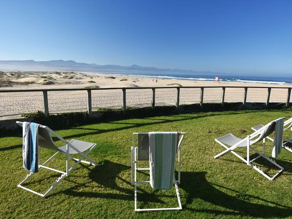 Plett Shed featured image