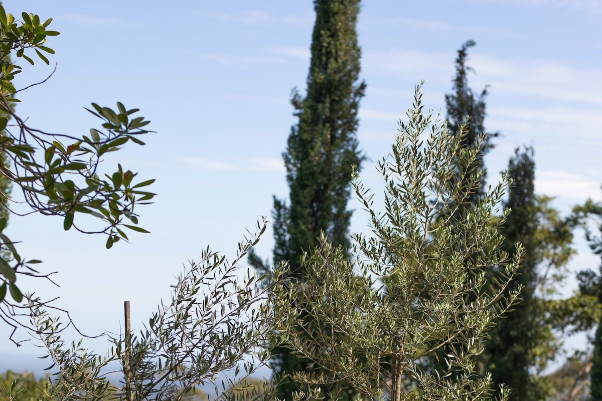 Cottage at The Shute. gallery image 5