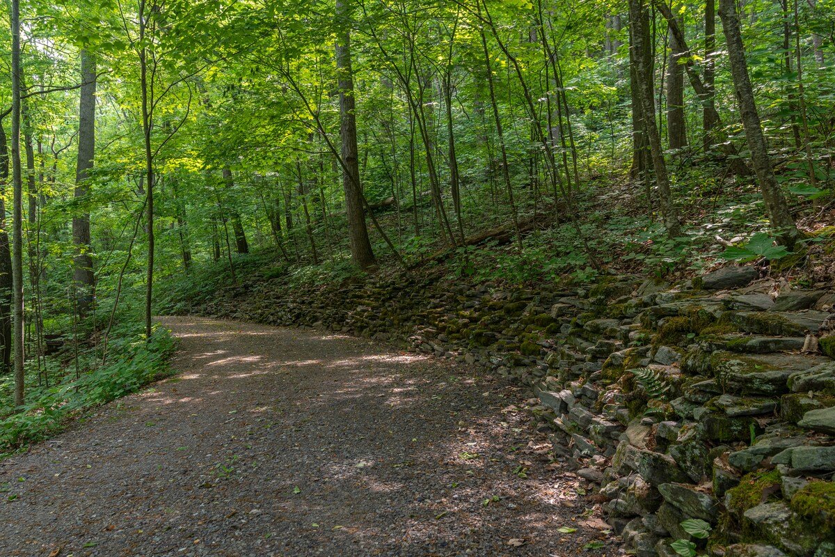 The Woodland House Mountain Retreat gallery image 4