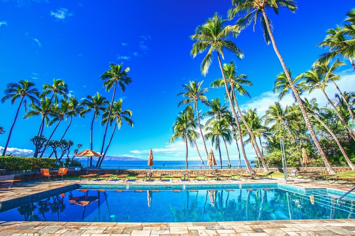 Ocean Views! Remodeled Redecorated Pretty & Modern gallery image 4