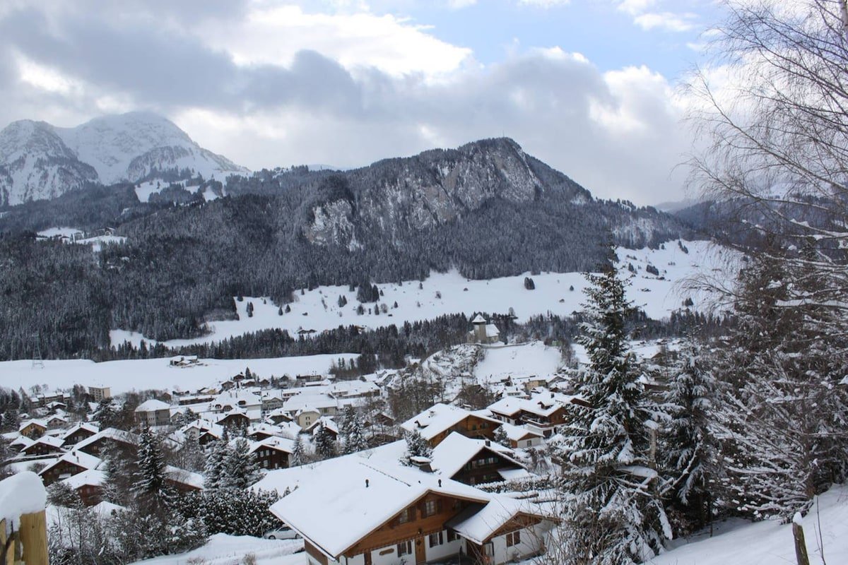 High Mountain Chalet – Great Views! gallery image 2