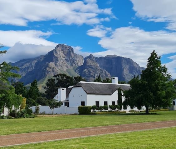 Franschhoek Orange Tree featured image