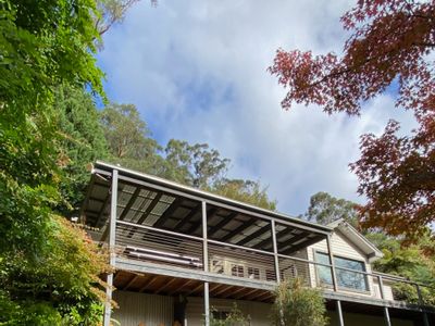 Higher Ground Warburton