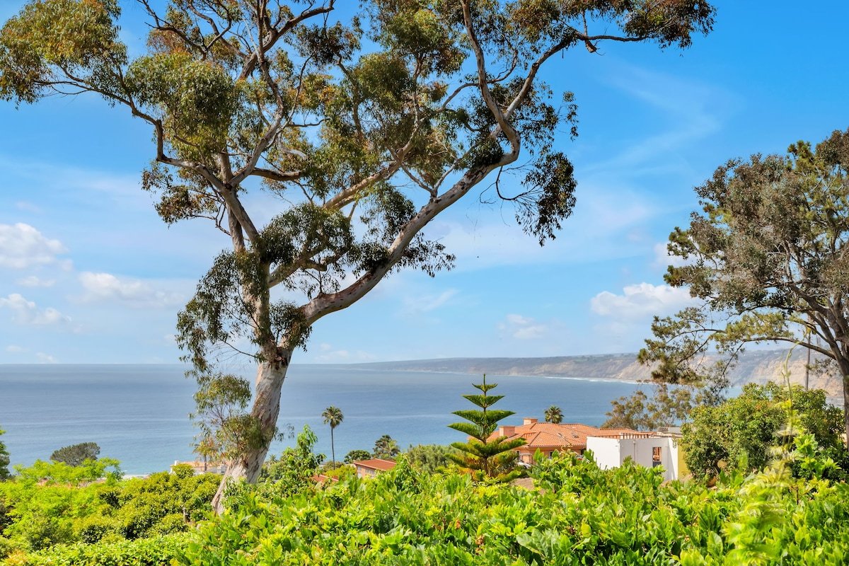 Luxury Ocean View Retreat gallery image 4