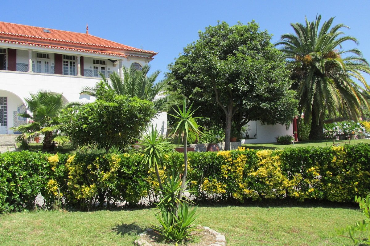 Propriete «Quinta de Santo Antonio» gallery image 4