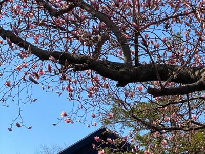 Prime 4BR Sleeps 13 Chef Kitchen 8 Blocks to Cubs