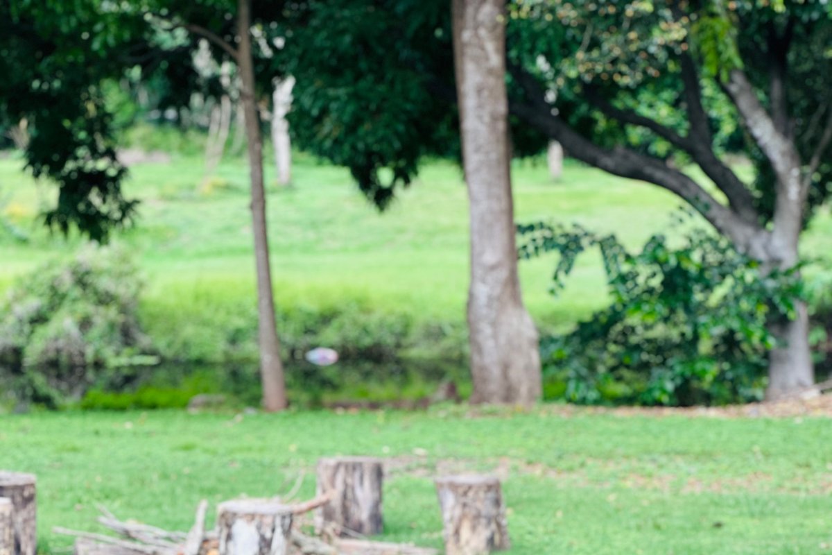 Summer house•Private Lake•Air-Conditioned Retreat