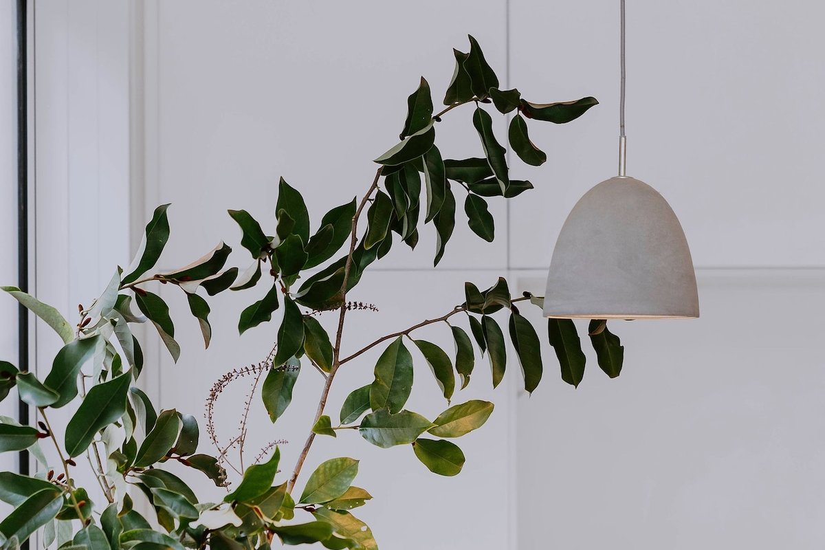 “Fitzroy North”. Gorgeous home, perfectly located. gallery image 3