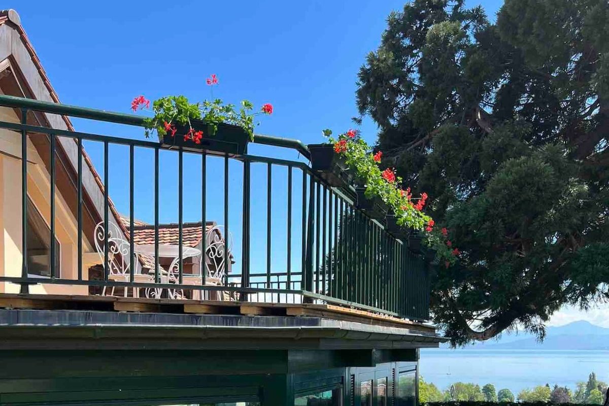 Panoramic View House! Lake, Mt Blanc & Vineyards🏡 gallery image 5