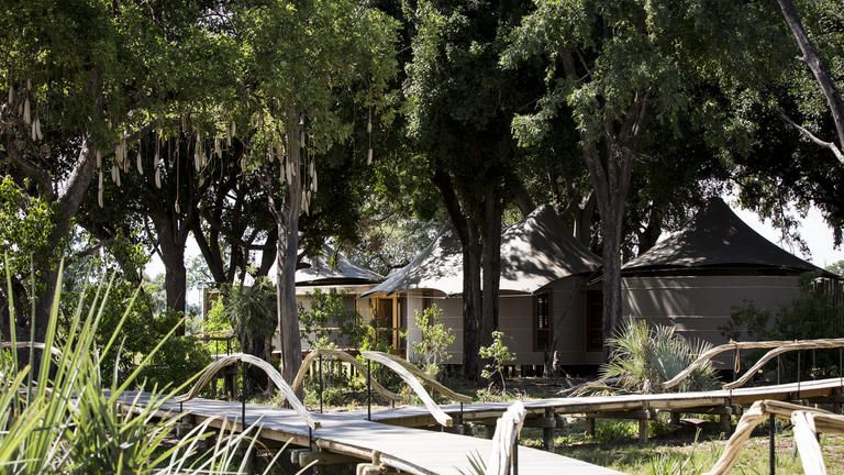 Wilderness Mombo Family Accommodation