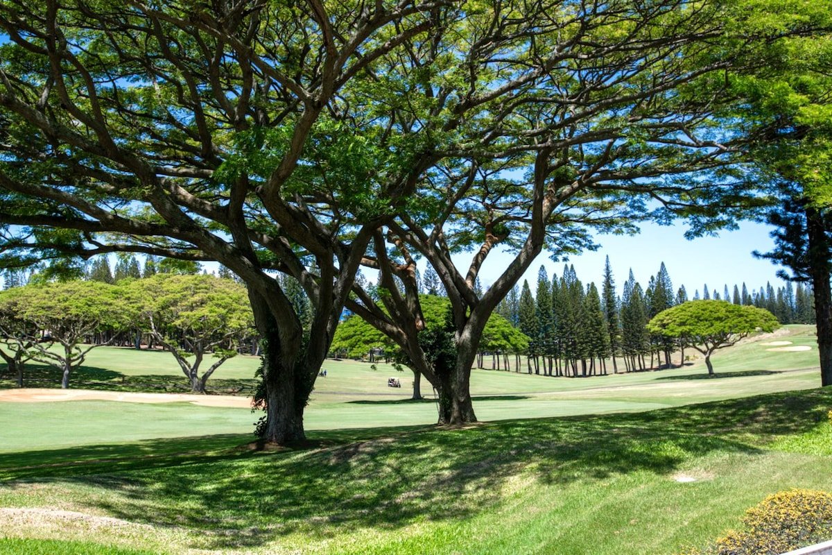 Kapalua Golf 14P3 | FREE CAR | KBM Resorts gallery image 4