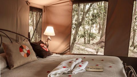 Nairobi Tented Camp Tent Interior