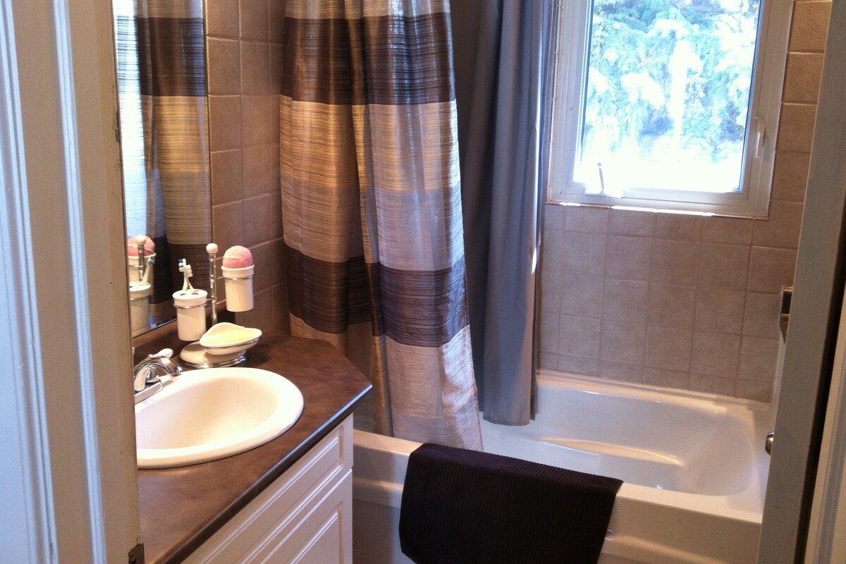 Large family home in Norwood flats, Winnipeg gallery image 5