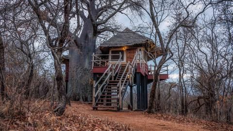 Tarangire Treetops - Room Exterior