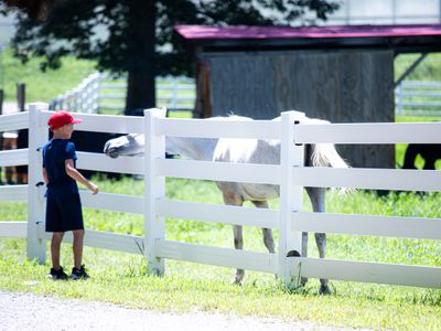 Asheville Farm Retreat, hot tub, King bed, firepit