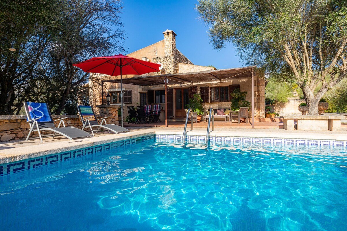 Cocotte gallery image 3